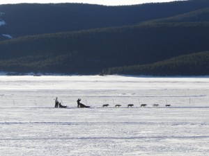 2549481-dog-sledding-on-frozen-lake